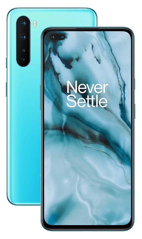スマートフォン本体 OnePlus nord 12GB/256GB OnePlus Nord 2T 5G 6.43